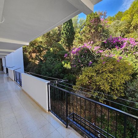 Apartamento Florido 토레몰리노스 외부 사진