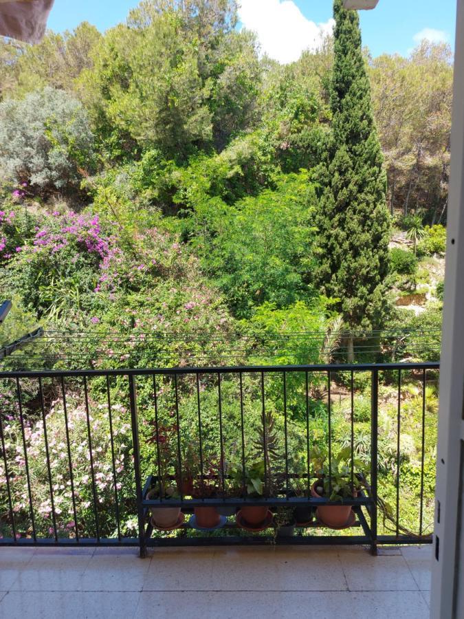 Apartamento Florido 토레몰리노스 외부 사진